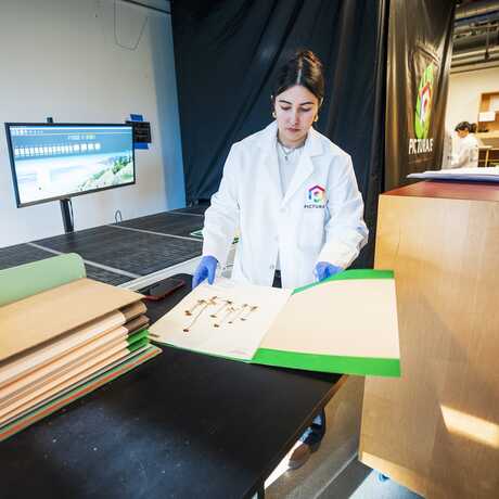 A volunteer prepares a dry botany specimen to be scanned.