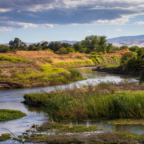 Dos Rios Ranch Preserve