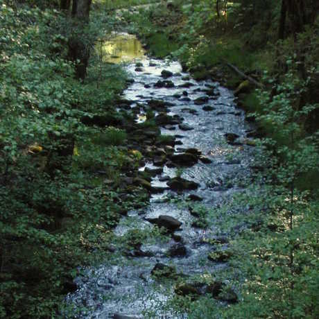 Angelo Coast Range Reserve