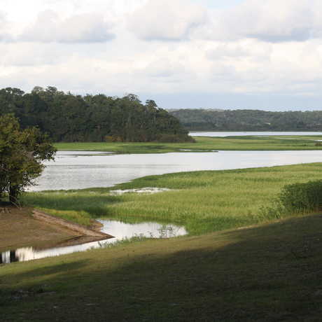 amazon river