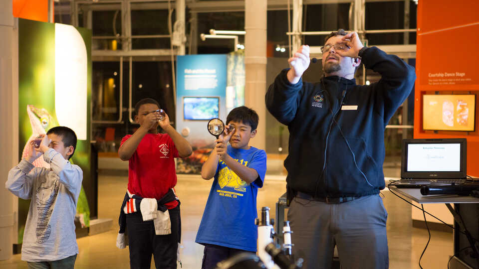 An Academy educator and 3 young boys look through hand lenses