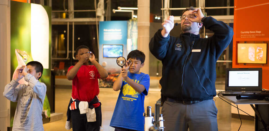 An Academy educator and 3 young boys look through hand lenses
