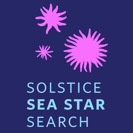 Person photographing a bat star in a tidepool with their smartphone alongside Solstice Sea Star Search logo