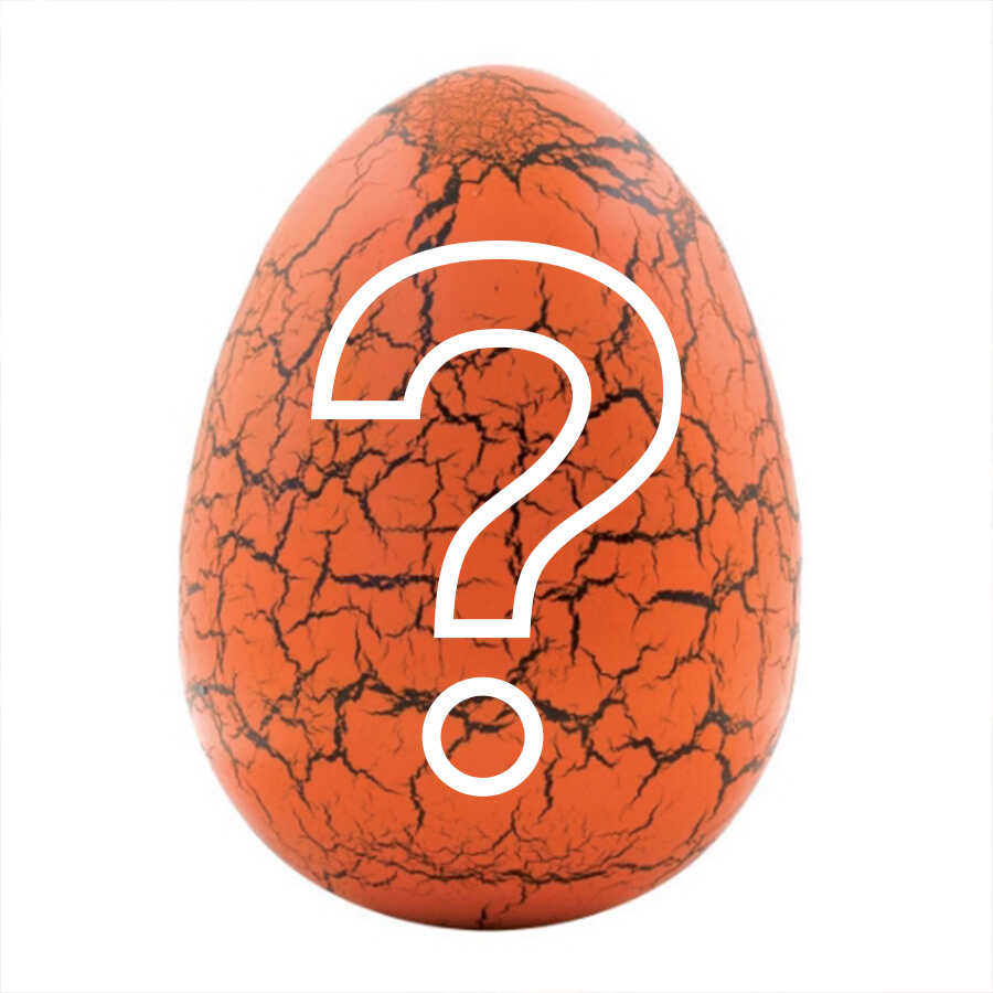 egghunt-cms