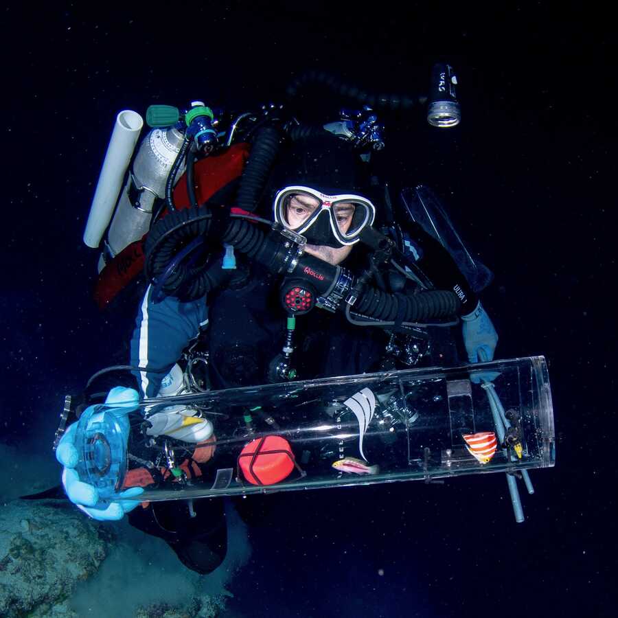 Steinhart director Bart Shephard scuba diving with the subCAS device to bring back live fish from the deep ocean.