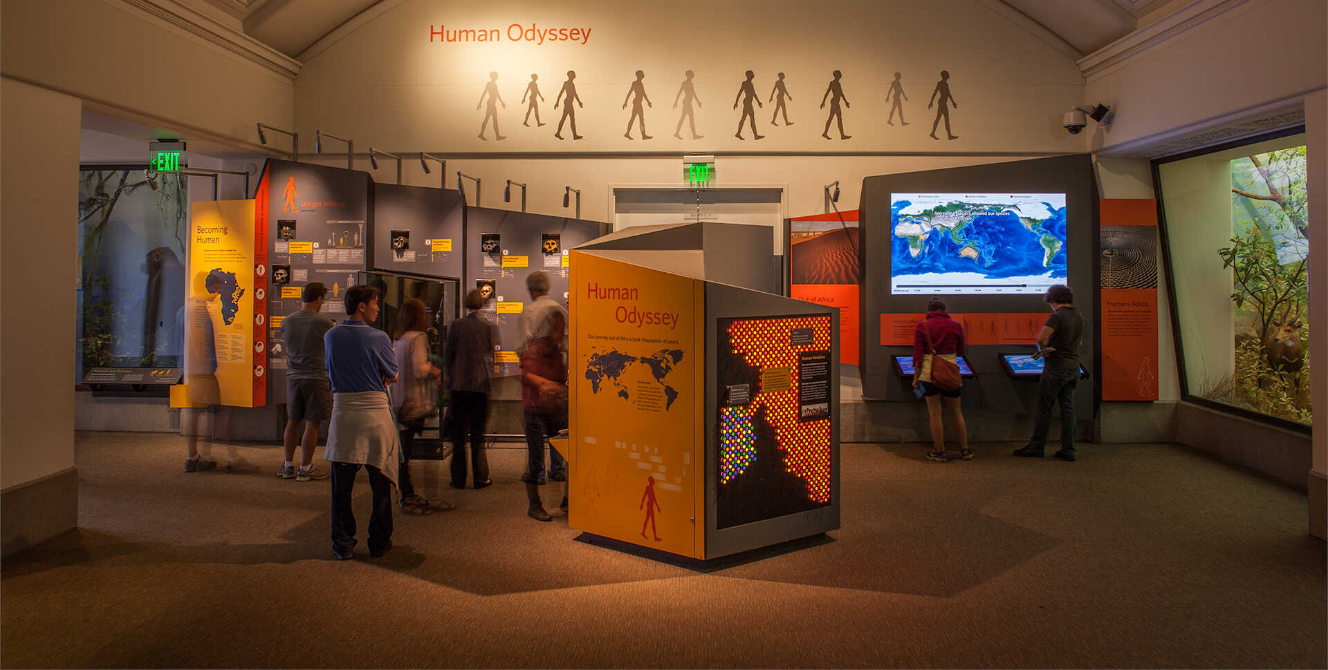 Visitors explore the Human Odyssey exhibit.
