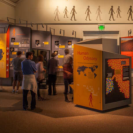 Visitors explore the Human Odyssey exhibit. 