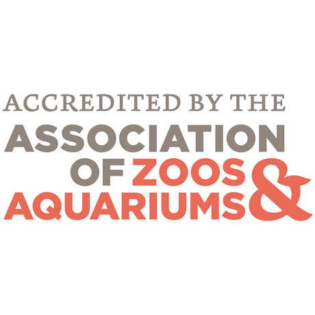 Text image that says Accredited by the Association of Zoos and Aquariums