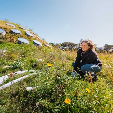 Moe Flannery crouches down as she picks up a massive whale bone left on the Academy living roof, with flowers and green grass glowing in the sunlight.