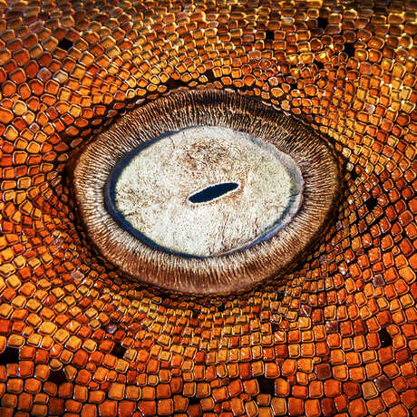 NightLife: Unusual Perspectives