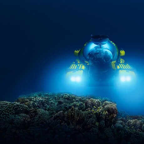 NightLife in the Deep