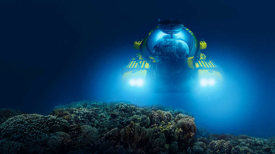 NightLife in the Deep