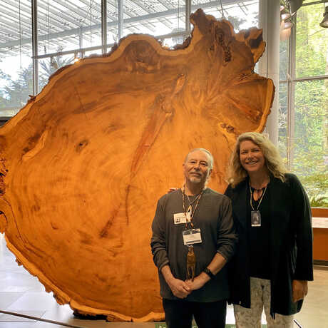 Gregg Castro and Shannon Tushingham pose in front of a redwood round in the Giants of Land and Sea exhibition in Cal Academy. 