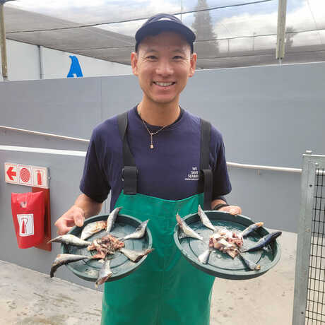 Academy Biologist Tim Wong holds up plates of fish before a penguin feeding at SANCCOB in South Africa