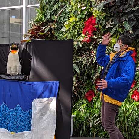 presenter on stage with 2 penguin puppets
