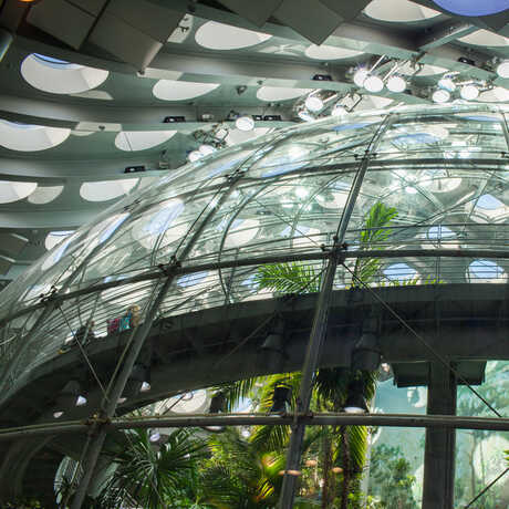 An image of the exterior of the dome, reflecting the many round windows in the living roof above. 