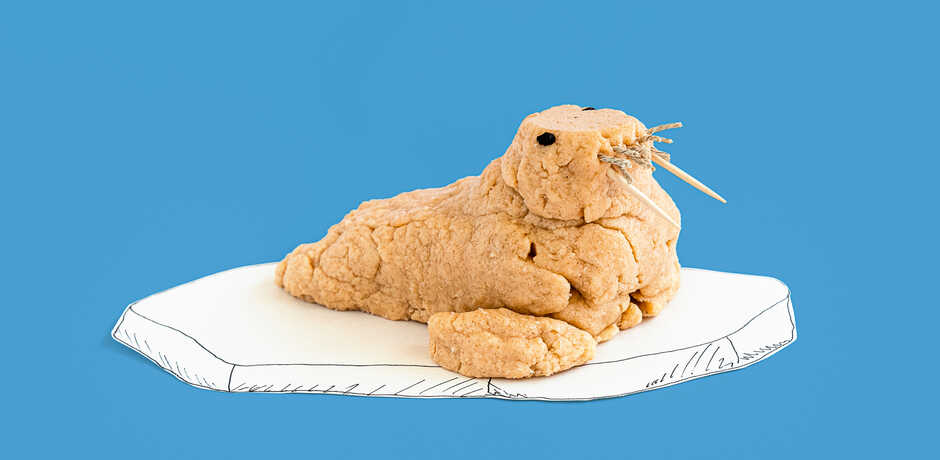Craft walrus made of playdough against blue background
