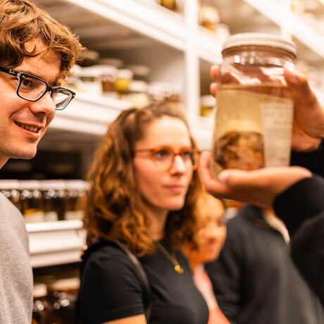 NightLife Plus guests look at preserved specimen in a jar during behind the scenes collections tour at Cal Academy