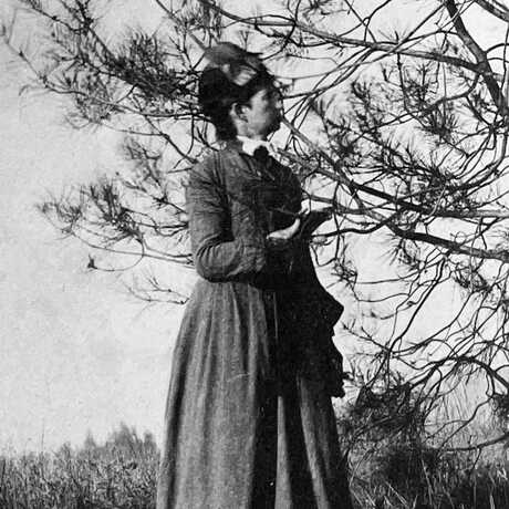 Sara Allen Plummer Lemmon 