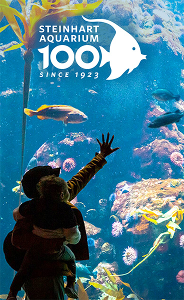 Steinhart Aquarium