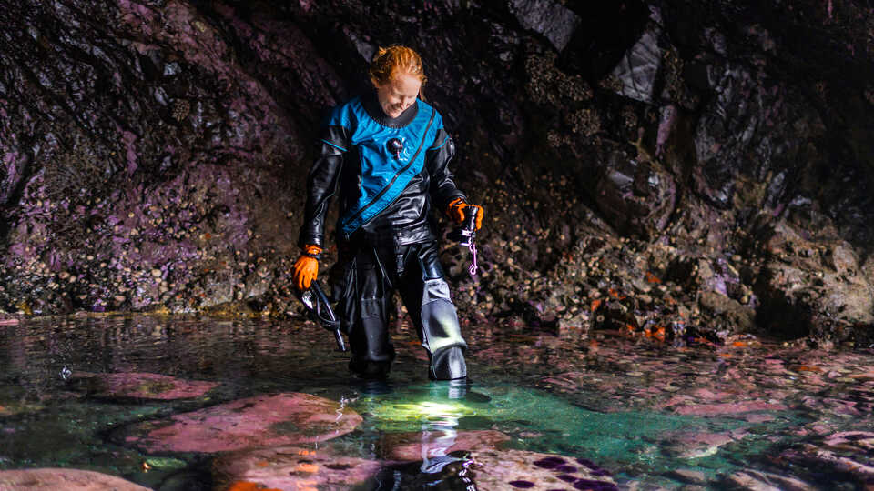 Steinhart Aquarium Curator Kylie Lev in a sea cave in Mendocino County. Photo by Nicole Ravicchio
