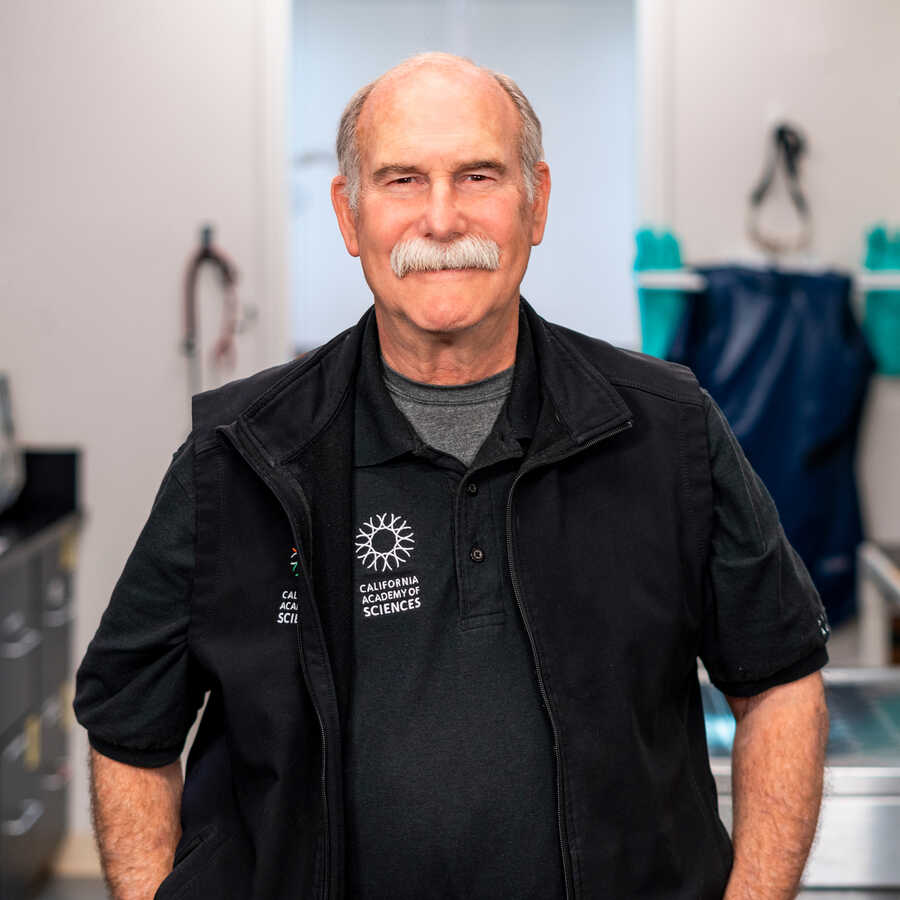 Academy Senior Veterinarian Freeland Dunker in the Animal Care Lab at Steinhart Aquarium