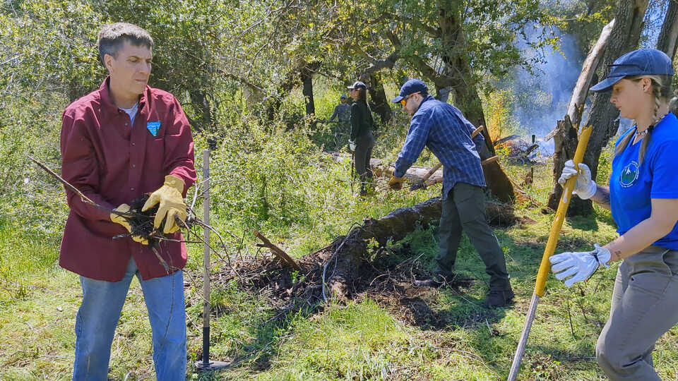A man stands with a large pile of fire brush, demonstrating proper ppe with long sleeves, gloves, and protection from the sun. 