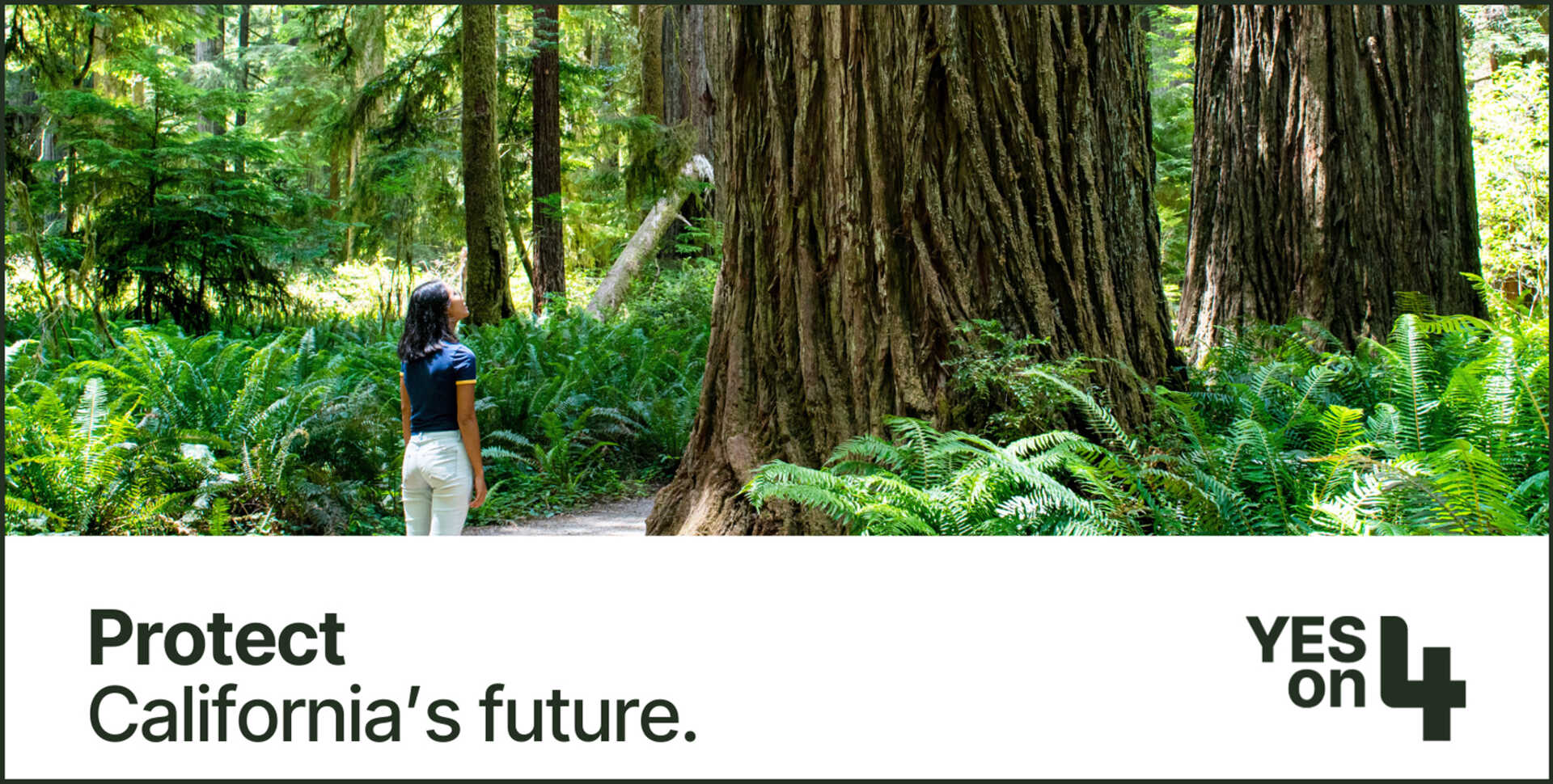 Yes on 4 promotional image of woman standing in front of redwood tree with Protect Californias Future caption below 
