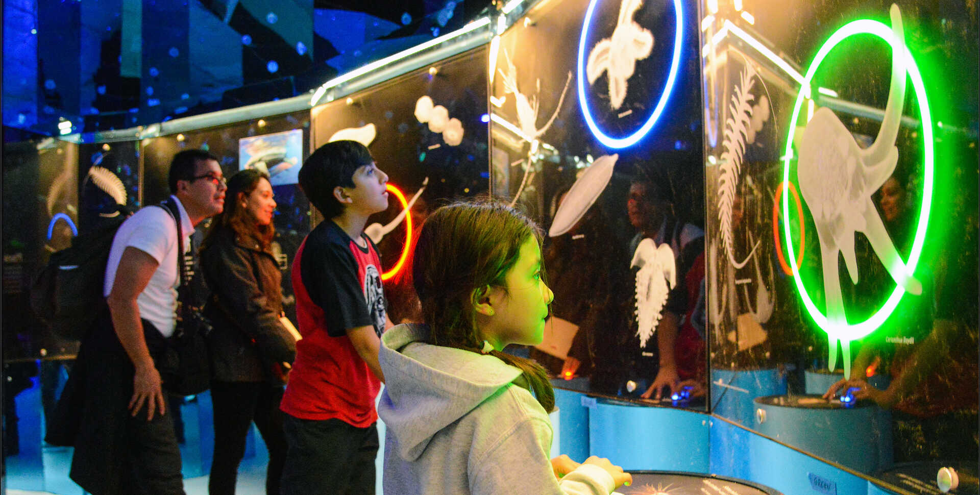 Visitors try to match adults from a variety of marine species to their planktonic forms in a “Find My Baby Picture” game in Unseen Oceans exhibition