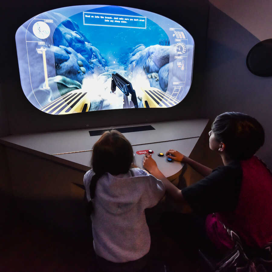 Museum guests play an interactive game in Unseen Oceans exhibition