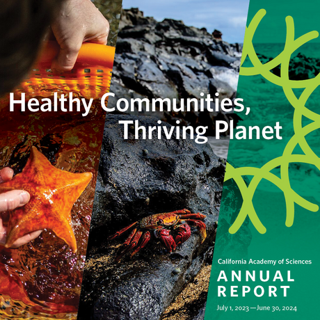 Cover of Cal Academy FY24 annual report entitled Healthy Communities, Thriving Planet, which features pictures of California tidepool animals