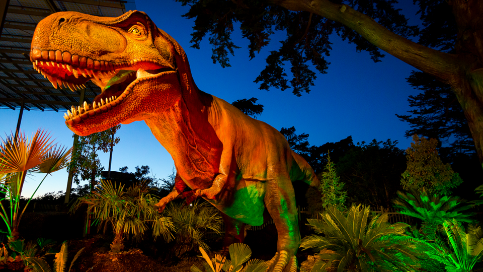 Hot Dino Nights