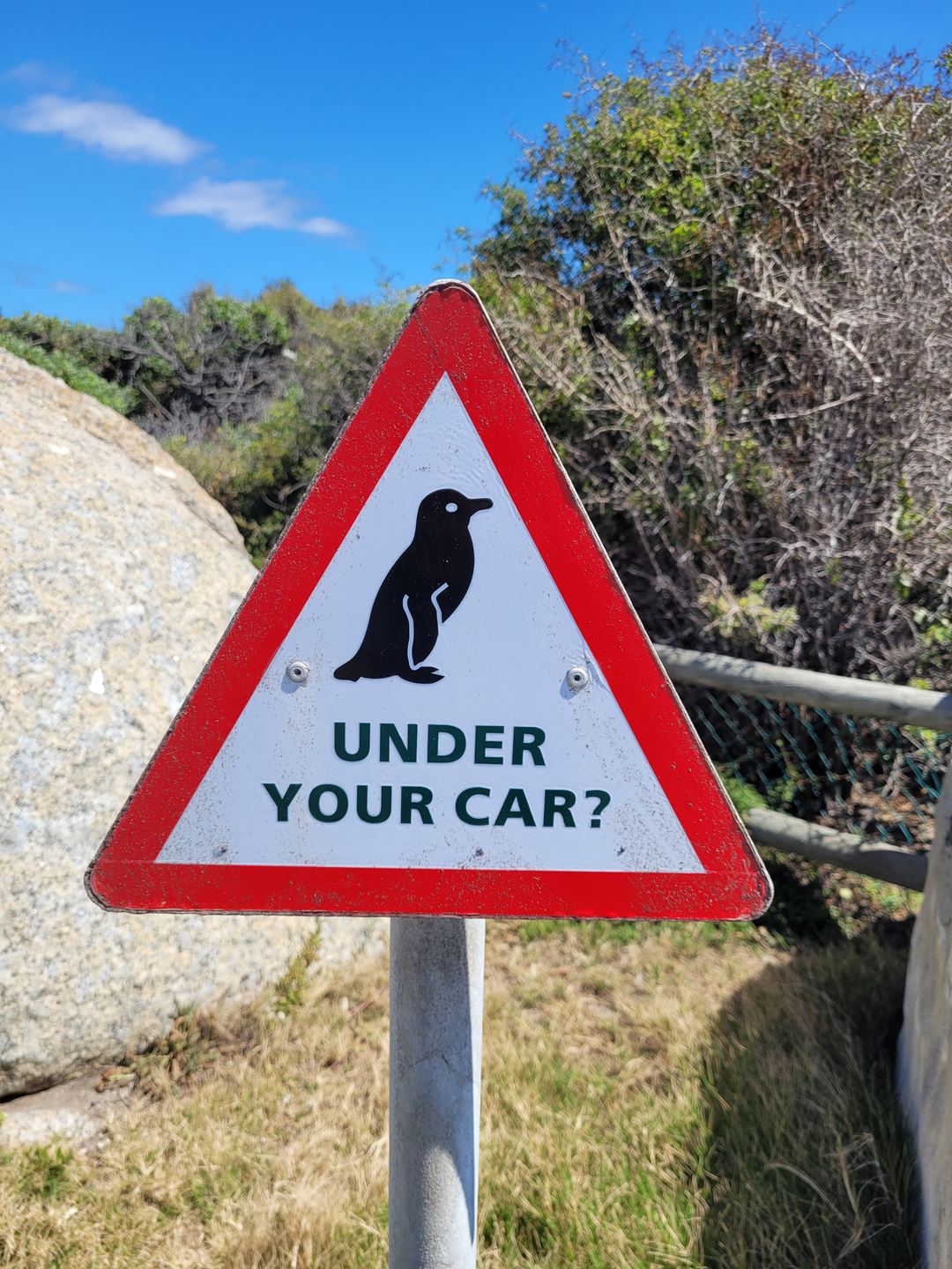 A sign warns drivers to check under their cars for penguins at Boulders Beach in Cape Town, South Africa